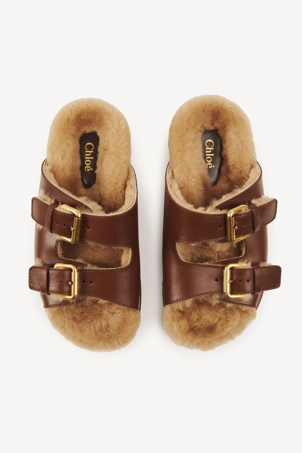 Chloé Nil Slide - Sooty Brown