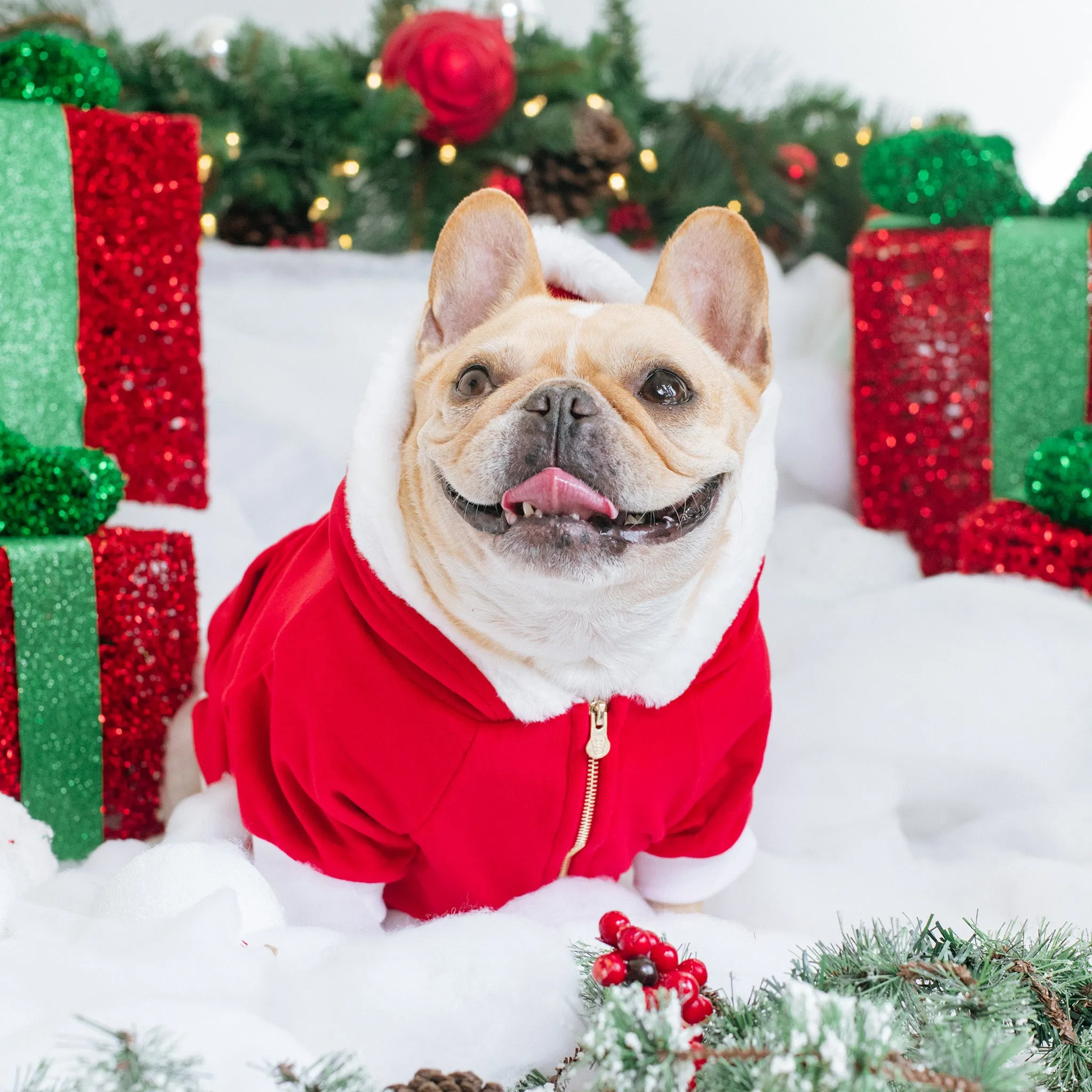 Frenchie Dog Hoodie - Red Santa