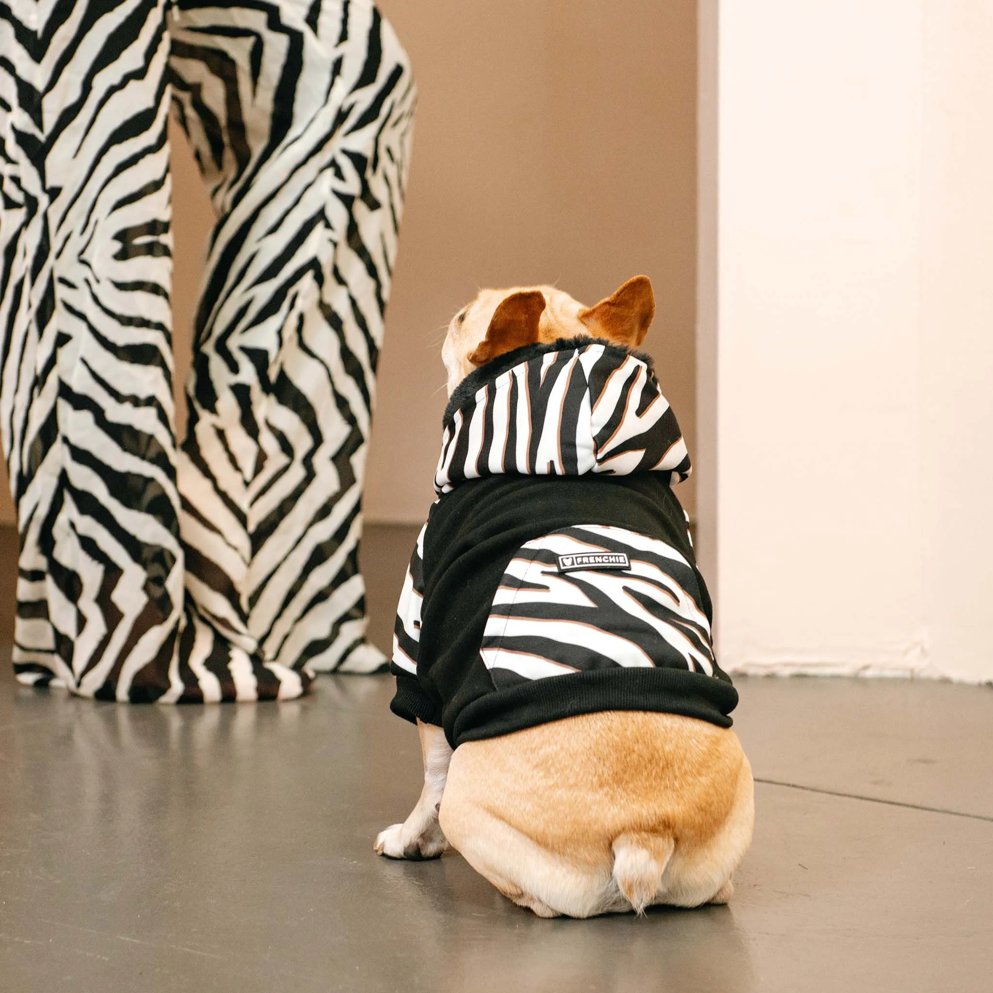 Frenchie Dog Hoodie - Zebra