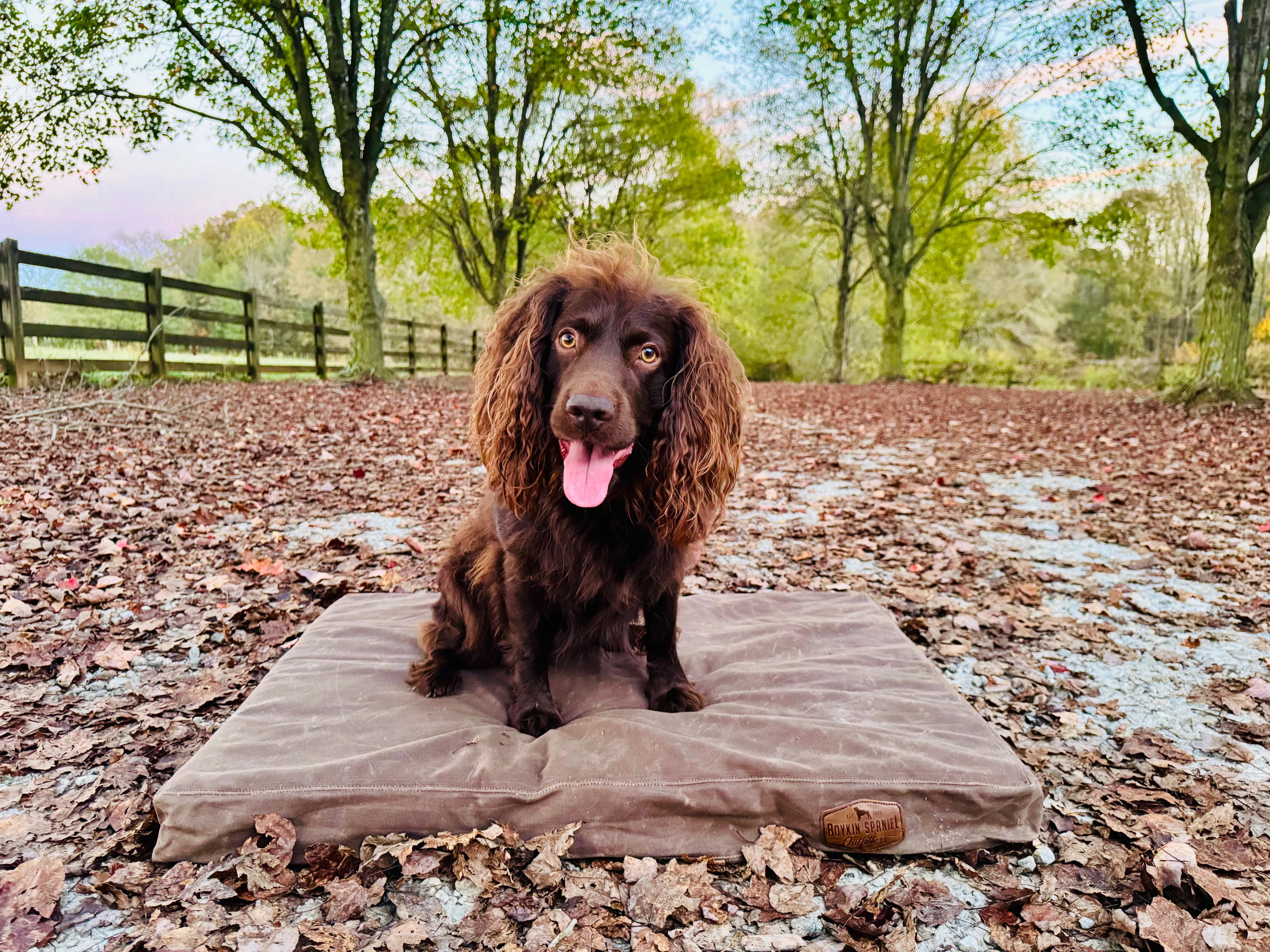 Outfitter Waxed Canvas Dog Bed