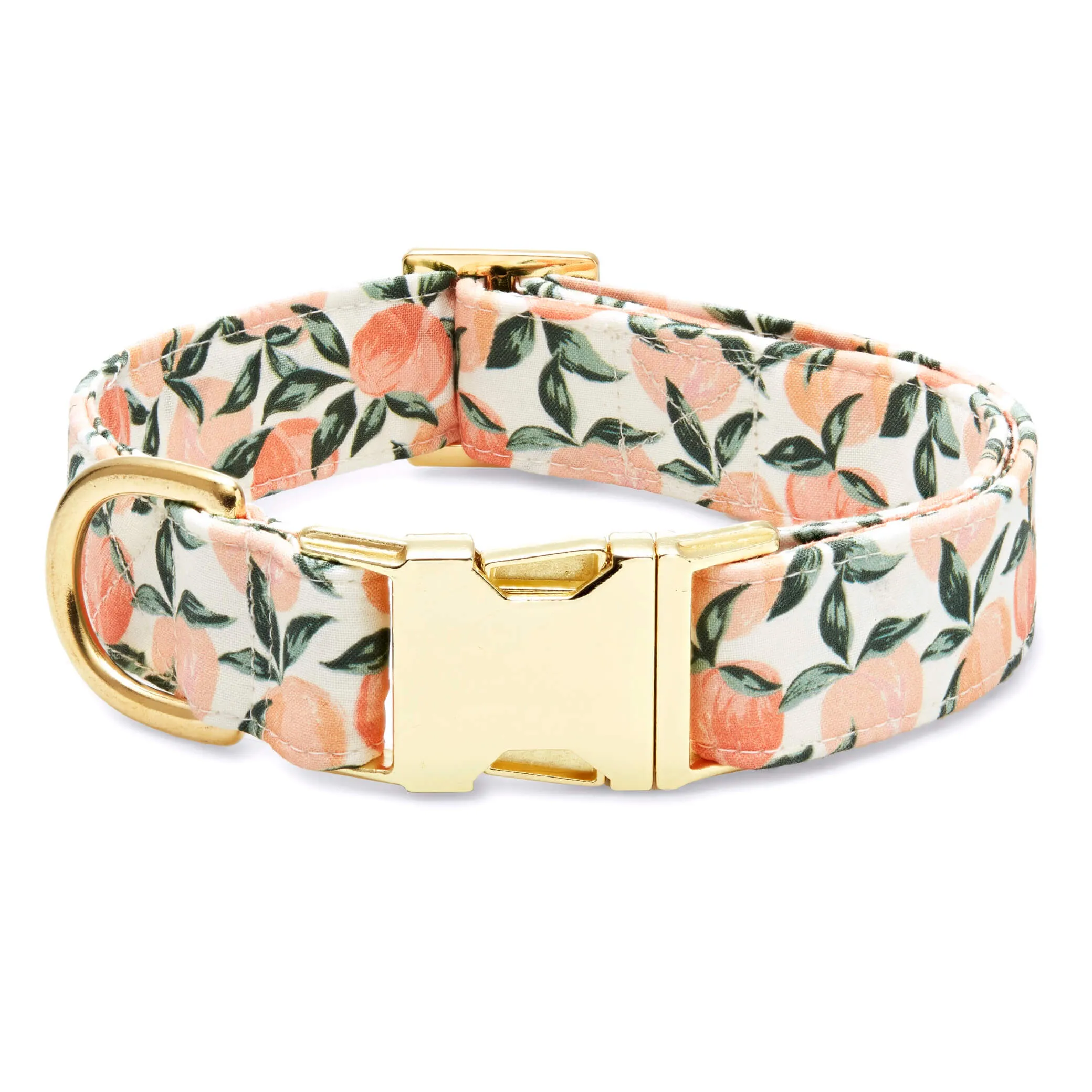 Peaches and Cream Collar Walk Set