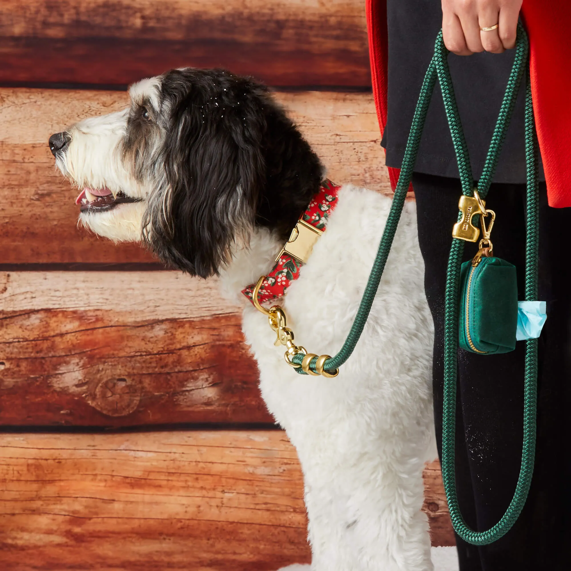 Rifle Paper Co. x TFD Mistletoe Collar Walk Set